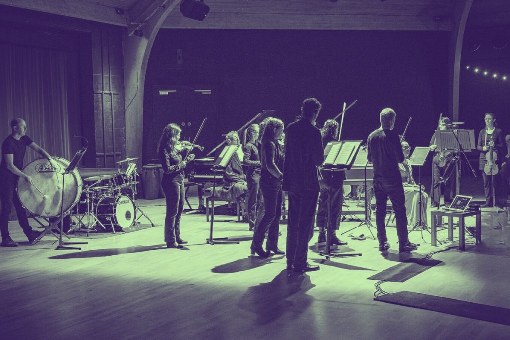 Orchestra of the Swan